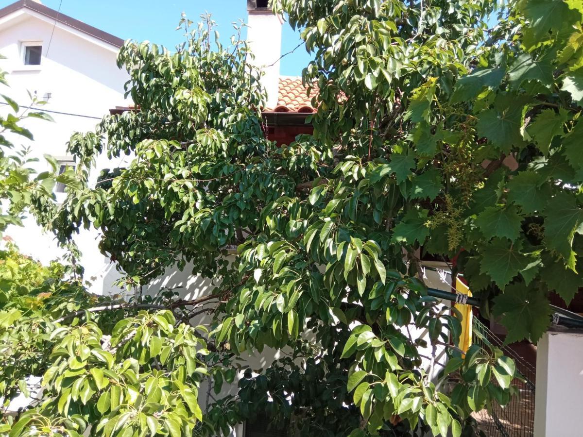 Apartments Antares Mali Lošinj Exterior foto