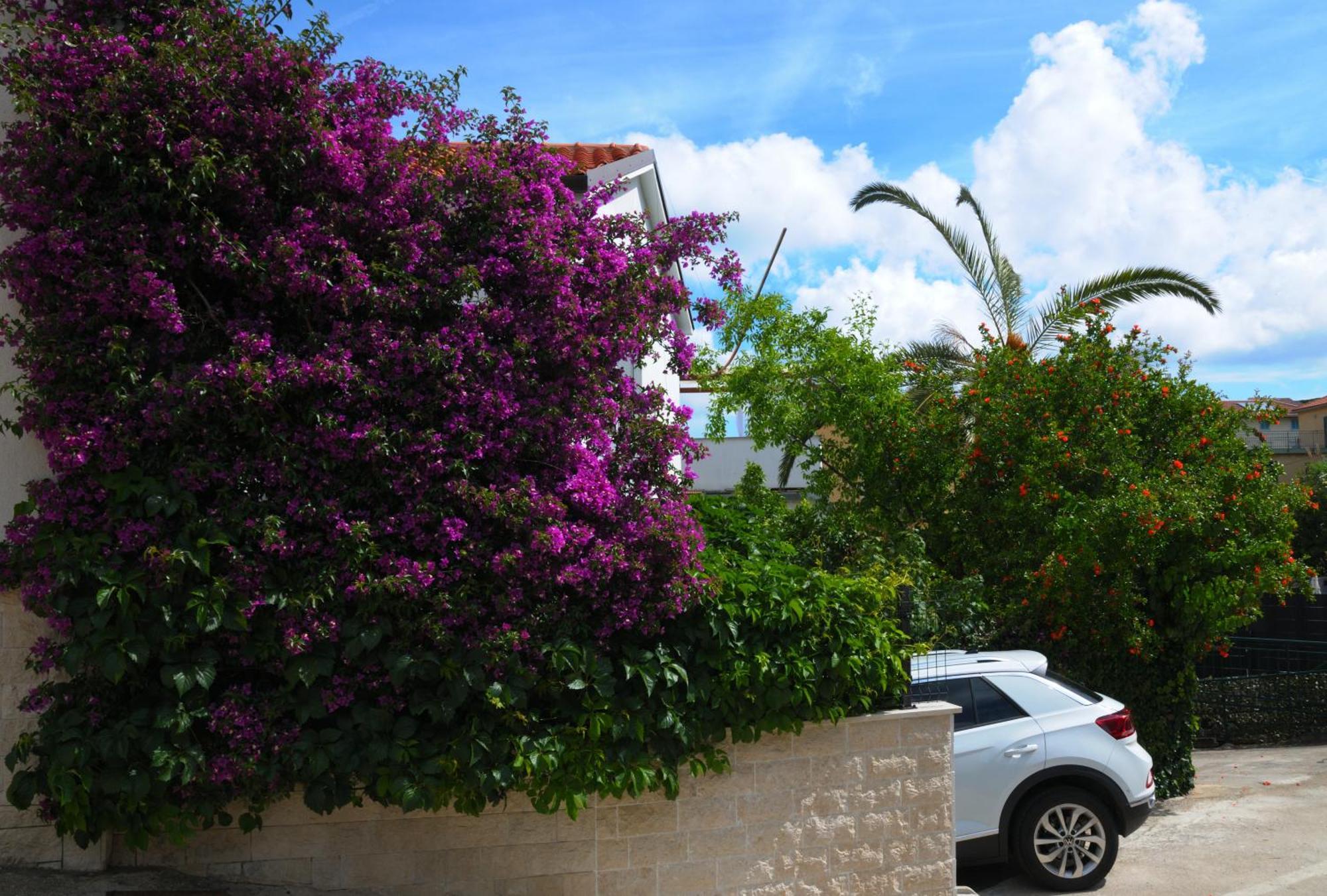 Apartments Antares Mali Lošinj Exterior foto